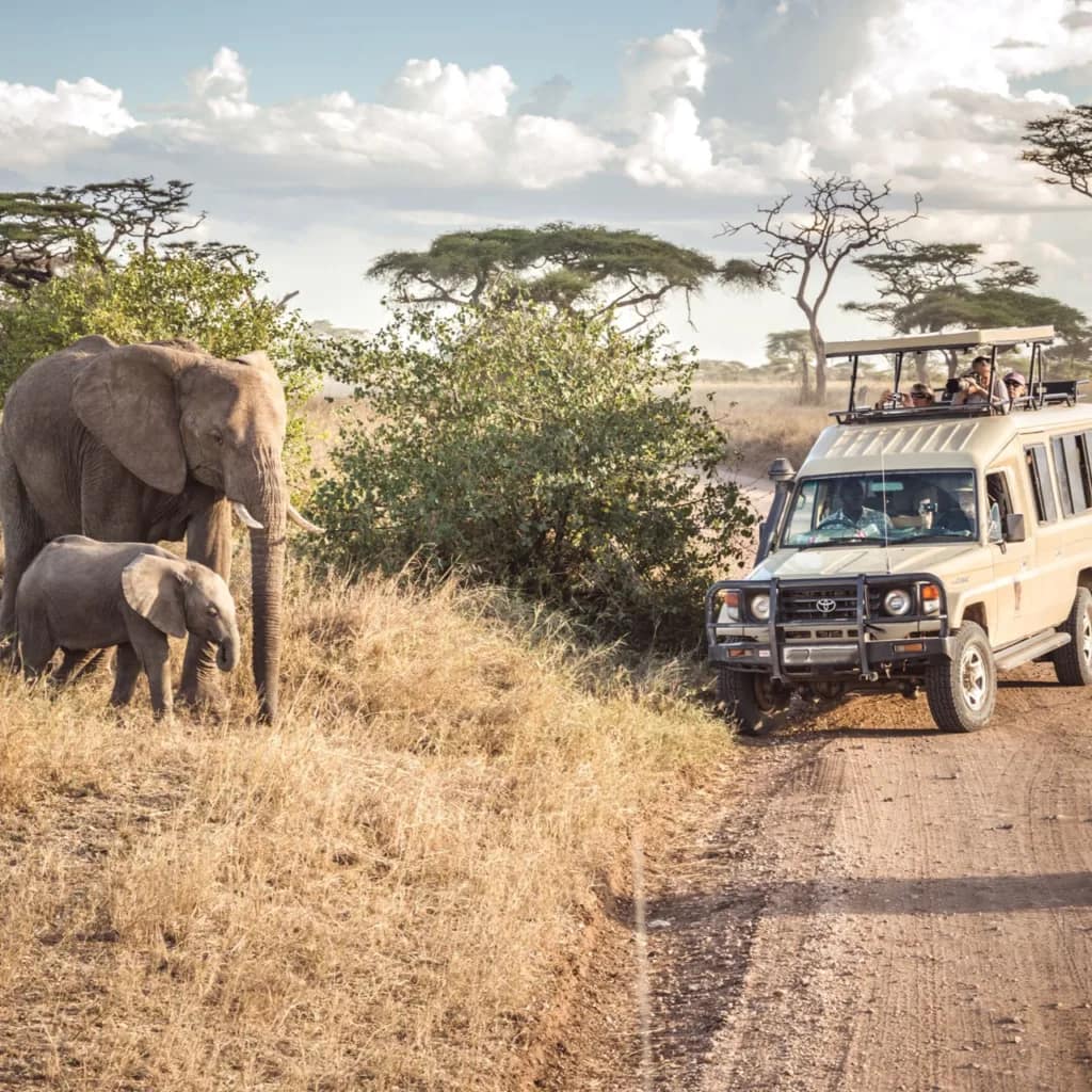 Safaris Activities - Banana Villas, Turtle Bay, Watamu